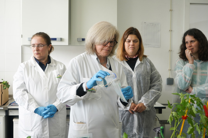 Prática Laboratorial sobre Fitobacteriologia | Visitas e Práticas de Campo | AgroB