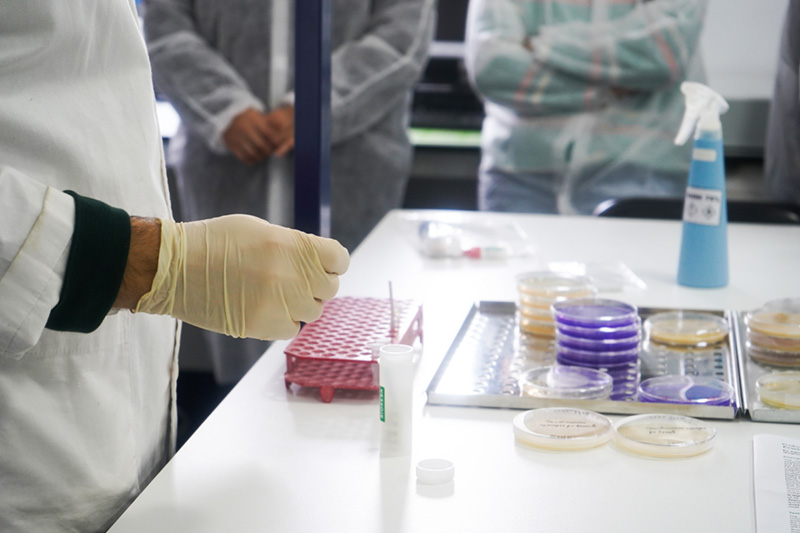 Prática Laboratorial sobre Fitobacteriologia | Visitas e Práticas de Campo | AgroB