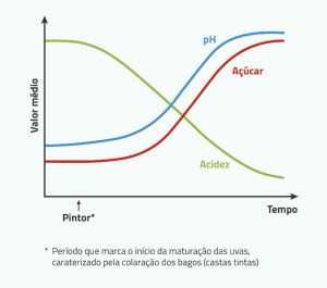 Evolução da Acidez, pH e Açúcar durante a Maturação na Vinha