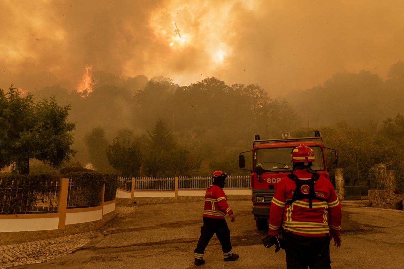 Evolução dos incêndios florestais em Portugal (2019-2024) | Espaço Visual