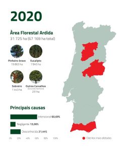 Incêndios florestais 2020 | Espaço Visual