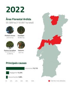 Incêndios florestais 2022 | Espaço Visual