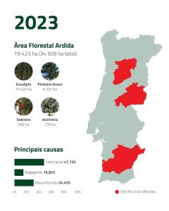 Incêndios florestais 2023 | Espaço Visual