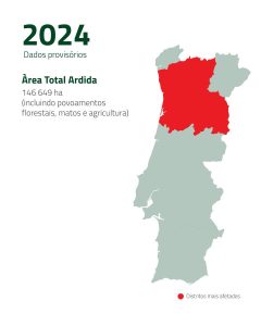 Incêndios 2024 | Espaço Visual