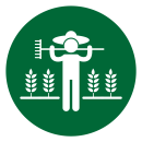 Jovem agricultor 2024 AgroB | Icone